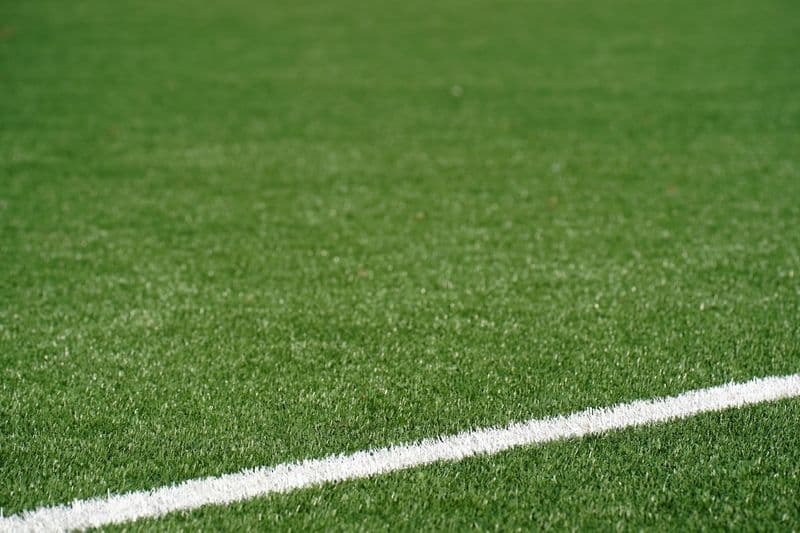 Sports Turf